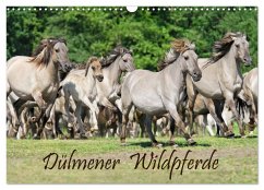 Dülmener Wildpferde (Wandkalender 2024 DIN A3 quer), CALVENDO Monatskalender - Menden, Katho