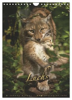 Luchs (Wandkalender 2024 DIN A4 hoch), CALVENDO Monatskalender