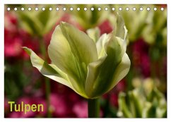 Tulpen (Tischkalender 2024 DIN A5 quer), CALVENDO Monatskalender