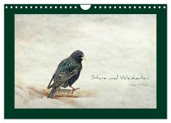 Stare und Weisheiten (Wandkalender 2024 DIN A4 quer), CALVENDO Monatskalender - Hultsch, Heike