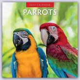 Parrots 2024 Square Wall Calendar