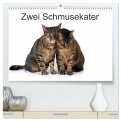 Zwei Schmusekater (hochwertiger Premium Wandkalender 2024 DIN A2 quer), Kunstdruck in Hochglanz