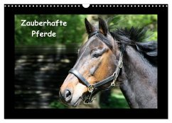 Zauberhafte Pferde (Wandkalender 2024 DIN A3 quer), CALVENDO Monatskalender - Daus, Christine