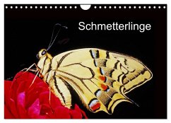 Schmetterlinge (Wandkalender 2024 DIN A4 quer), CALVENDO Monatskalender