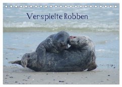 Verspielte Robben (Tischkalender 2024 DIN A5 quer), CALVENDO Monatskalender