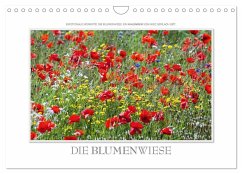 Emotionale Momente: Die Blumenwiese. (Wandkalender 2024 DIN A4 quer), CALVENDO Monatskalender