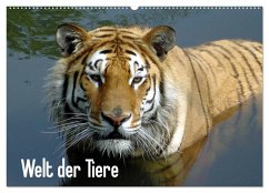 Welt der Tiere (Wandkalender 2024 DIN A2 quer), CALVENDO Monatskalender - Riedel, Tanja
