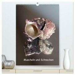 Muscheln und Schnecken (hochwertiger Premium Wandkalender 2024 DIN A2 hoch), Kunstdruck in Hochglanz