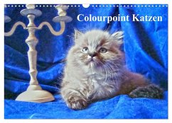 Colourpoint Katzen (Wandkalender 2024 DIN A3 quer), CALVENDO Monatskalender - Säume, Sylvia