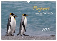 Pinguine aus aller Welt (Wandkalender 2024 DIN A3 quer), CALVENDO Monatskalender
