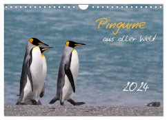 Pinguine aus aller Welt (Wandkalender 2024 DIN A4 quer), CALVENDO Monatskalender - Schlögl, Brigitte