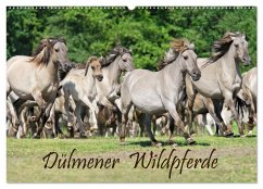 Dülmener Wildpferde (Wandkalender 2024 DIN A2 quer), CALVENDO Monatskalender - Menden, Katho