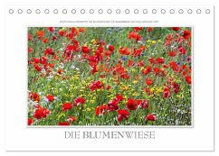 Emotionale Momente: Die Blumenwiese. (Tischkalender 2024 DIN A5 quer), CALVENDO Monatskalender