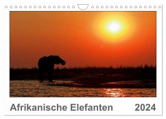 Afrikanische Elefanten (Wandkalender 2024 DIN A4 quer), CALVENDO Monatskalender - Wolf, Gerald