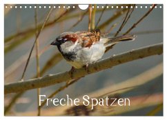 Freche Spatzen (Wandkalender 2024 DIN A4 quer), CALVENDO Monatskalender - Kattobello