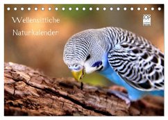 Wellensittiche - Naturkalender (Tischkalender 2024 DIN A5 quer), CALVENDO Monatskalender