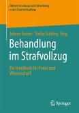 Behandlung im Strafvollzug (eBook, PDF)