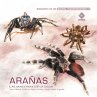 Arañas, las maestras de la seda... - Bild 1