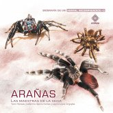 Arañas, las maestras de la seda (MP3-Download)