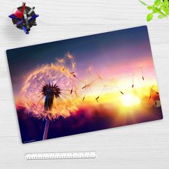 Cover-your-desk Schreibtischunterlage für Kinder und Erwachsene Pusteblume im Sonnenlicht, aus hochwertigem Vinyl , 60 x 40 cm