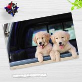 Cover-your-desk Schreibtischunterlage für Kinder und Erwachsene Golden Retriever Welpen, aus hochwertigem Vinyl , 60 x 40 cm