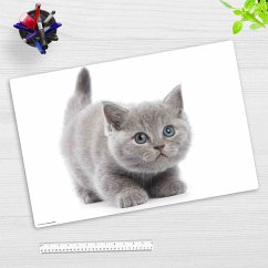 Cover-your-desk Schreibtischunterlage für Kinder und Erwachsene Süße graue Katze, aus hochwertigem Vinyl , 60 x 40 cm