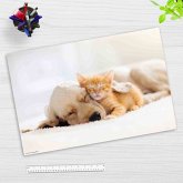 Cover-your-desk Schreibtischunterlage Vinyl Freundschaft zwischen Katze und Hund, 60 x 40 cm