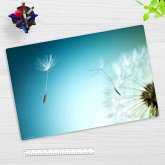 Cover-your-desk Schreibtischunterlage für Kinder und Erwachsene Pusteblume, aus hochwertigem Vinyl , 60 x 40 cm Cover-your-desk Schreibtischunterlage für Kinder und Erwachsene Pusteblume, aus hochwertigem Vinyl , 60 x 40 cm