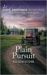 Plain Pursuit (eBook, ePUB) - Bild 1
