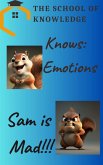 The School Of Knowledge Knows Emotions: Sam Is Mad (eBook, ePUB)