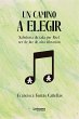 Un camino a elegir (eBook, ePUB) - Bild 1