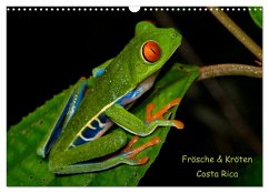 Frösche & Kröten Costa Rica (Wandkalender 2024 DIN A3 quer), CALVENDO Monatskalender
