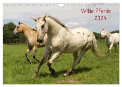 Wilde Pferde (Wandkalender 2024 DIN A4 quer), CALVENDO Monatskalender
