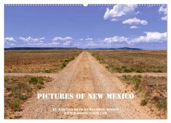 Pictures of New Mexico (Wandkalender 2024 DIN A2 quer), CALVENDO Monatskalender