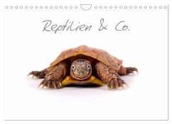 Reptilien & Co. (Wandkalender 2024 DIN A4 quer), CALVENDO Monatskalender