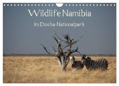 Wildlife Namibia (Wandkalender 2024 DIN A4 quer), CALVENDO Monatskalender - Müller, Reinhard