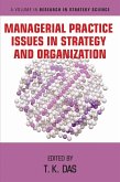 Managerial Practice Issues in Strategy and Organization (eBook, PDF)