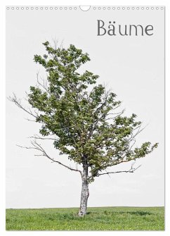 Bäume (Wandkalender 2024 DIN A3 hoch), CALVENDO Monatskalender
