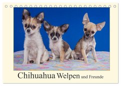 Chihuahua Welpen und Freunde (Tischkalender 2024 DIN A5 quer), CALVENDO Monatskalender - Wejat-Zaretzke, Gabriela
