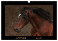 Animals (Wandkalender 2024 DIN A3 quer), CALVENDO Monatskalender