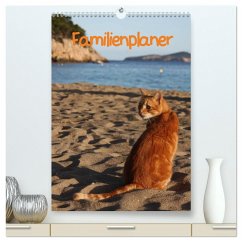 Familienplaner Katzen (hochwertiger Premium Wandkalender 2024 DIN A2 hoch), Kunstdruck in Hochglanz
