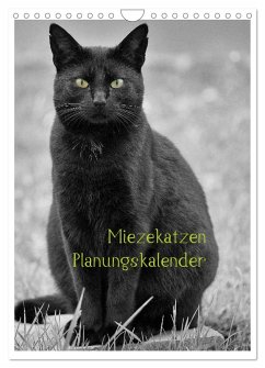 Miezekatzen Planungskalender (Wandkalender 2024 DIN A4 hoch), CALVENDO Monatskalender