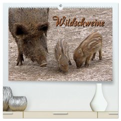 Wildschweine (hochwertiger Premium Wandkalender 2024 DIN A2 quer), Kunstdruck in Hochglanz