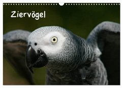 Ziervögel (Wandkalender 2024 DIN A3 quer), CALVENDO Monatskalender