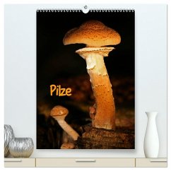 Pilze (hochwertiger Premium Wandkalender 2024 DIN A2 hoch), Kunstdruck in Hochglanz