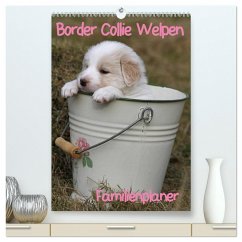 Border Collie Welpen - Familienplaner (hochwertiger Premium Wandkalender 2024 DIN A2 hoch), Kunstdruck in Hochglanz