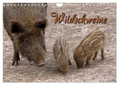 Wildschweine (Wandkalender 2024 DIN A4 quer), CALVENDO Monatskalender - Berg, Martina