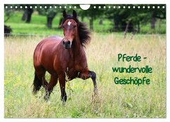 Pferde - wundervolle Geschöpfe (Wandkalender 2024 DIN A4 quer), CALVENDO Monatskalender - Blum, Anja