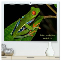 Frösche & Kröten Costa Rica (hochwertiger Premium Wandkalender 2024 DIN A2 quer), Kunstdruck in Hochglanz - Dummermuth, Stefan