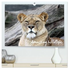 Amazing Wildlife (hochwertiger Premium Wandkalender 2024 DIN A2 quer), Kunstdruck in Hochglanz